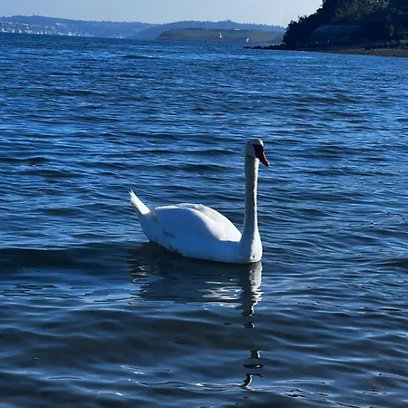 Water Front Cobh Apartment Balnacart